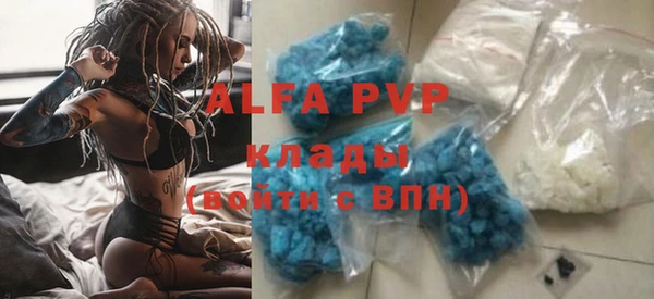 сатива Белокуриха
