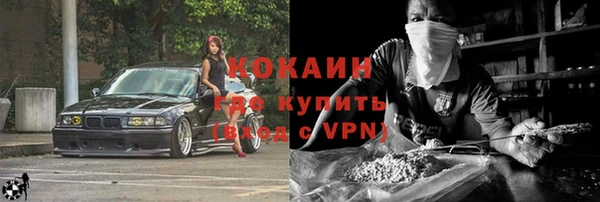 сатива Белокуриха