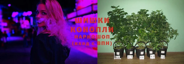 сатива Белокуриха