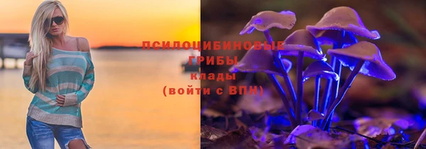 сатива Белокуриха
