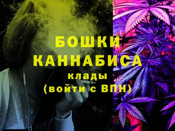 сатива Белокуриха