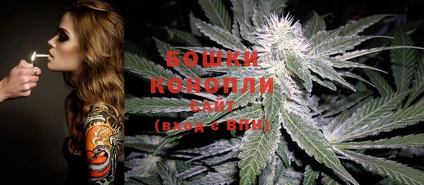 сатива Белокуриха