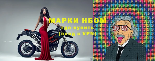 сатива Богородицк