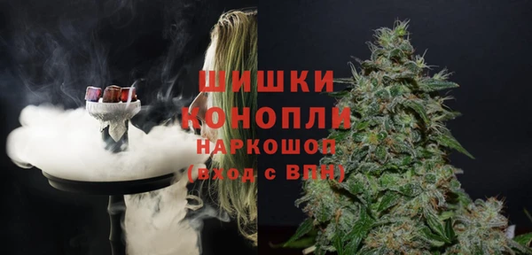 сатива Белокуриха