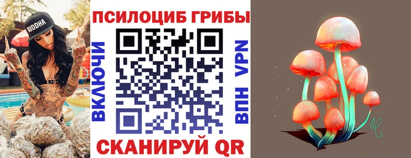 Псилоцибиновые грибы прущие грибы купить закладку Новотитаровская