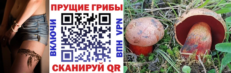 Галлюциногенные грибы MAGIC MUSHROOMS Новотитаровская