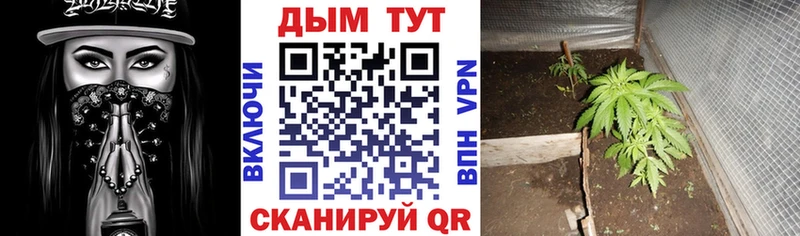 Канабис THC 21% Новотитаровская